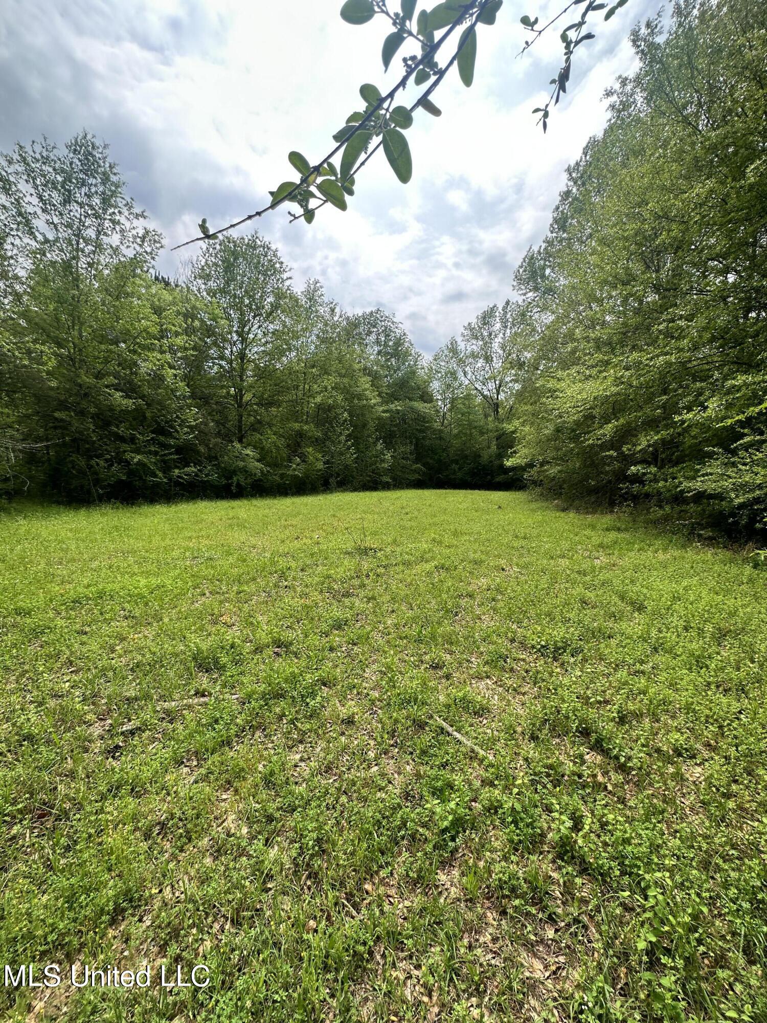 127 Burch Road Mendenhall, MS 39114 - Photo 4 of 21 IMG_1804