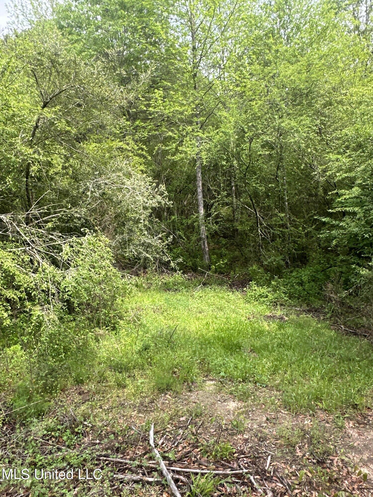 127 Burch Road Mendenhall, MS 39114 - Photo 6 of 21 IMG_1808
