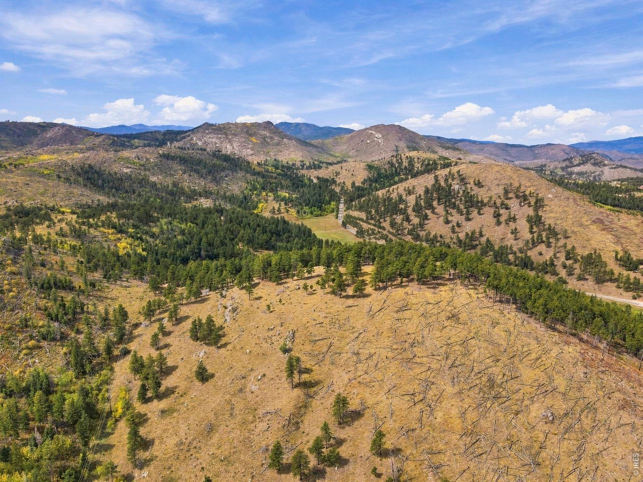 14133 Rist Canyon Road Bellvue, CO 80512 - Photo 17 of 44 The terrain features grand vistas, where you can see for miles in every direction.