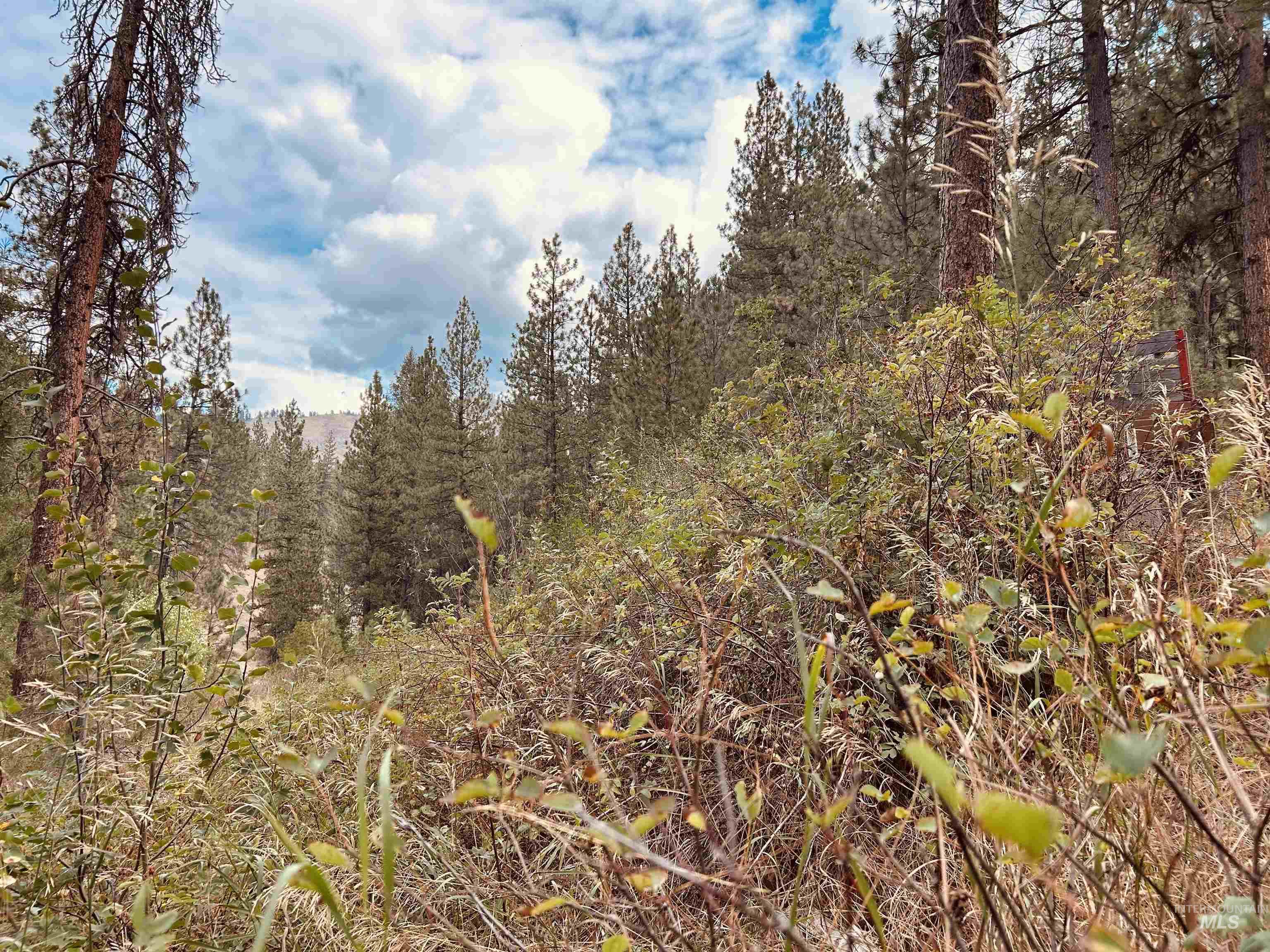 8 Klondike Road Boise, ID 83716 - Photo 4 of 5 View of tree filled area