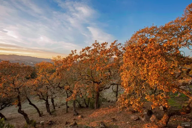 $2,999,950 | 3400 Matanzas Creek Lane, Santa Rosa, CA 95404