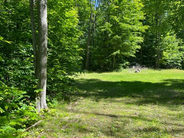 West Townline Road Grayling, MI 49738 - Photo 12 of 44 Gallery Image 12