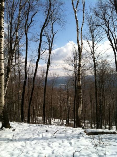 View from Land
