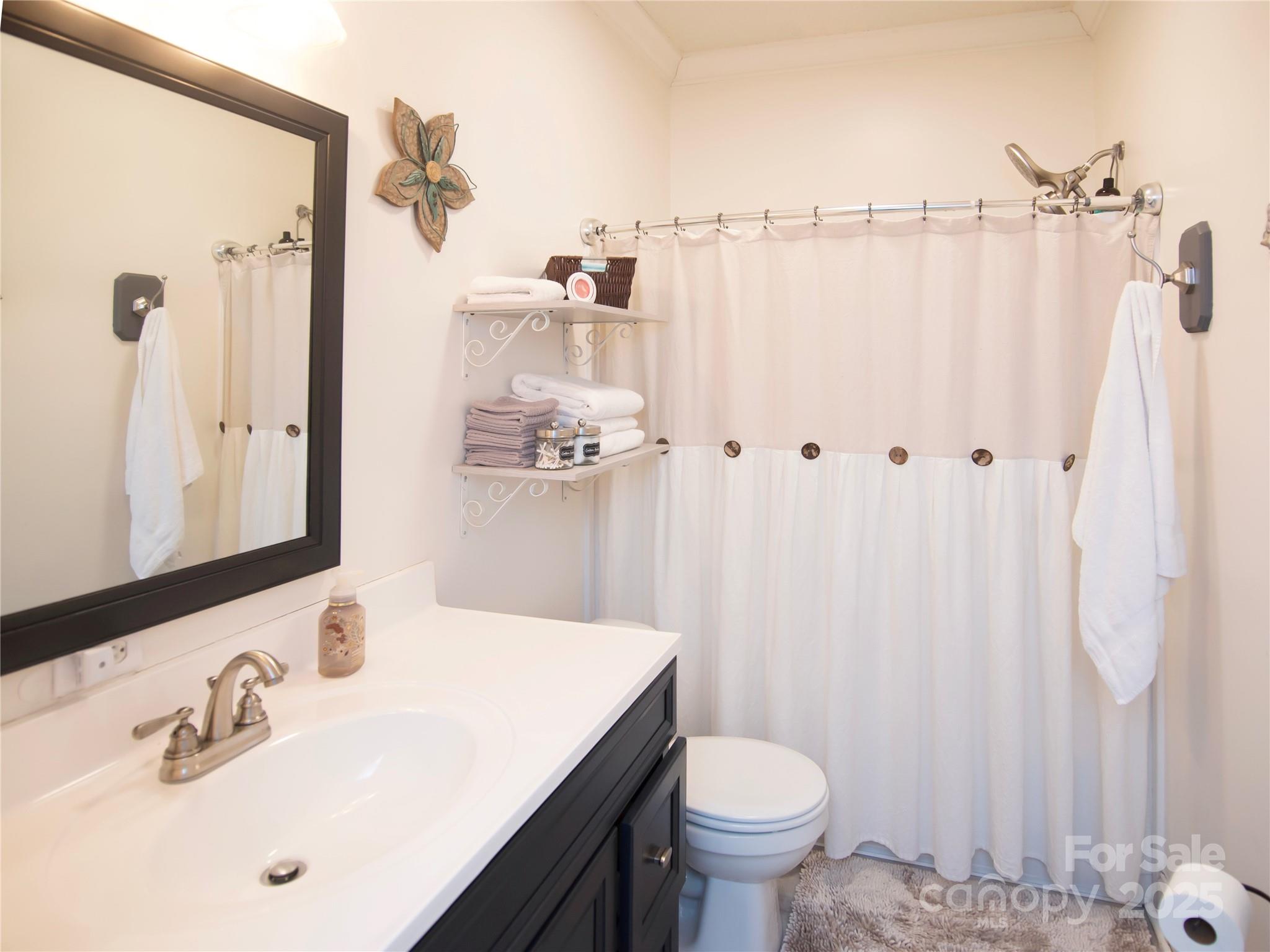 3053 Dalton Drive Morganton, NC 28655 - Photo 28 of 47 a bathroom with a sink a toilet a mirror and shower curtain