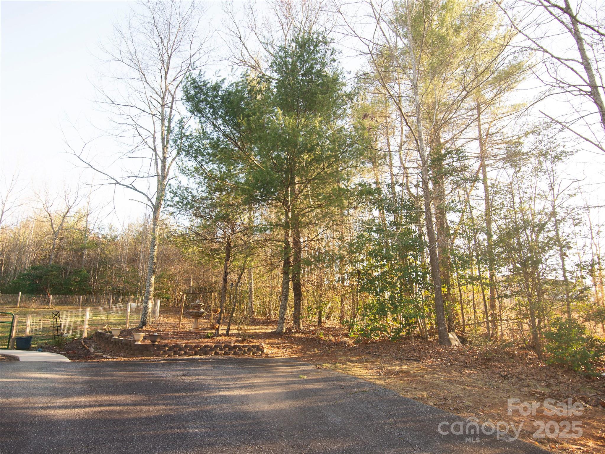 3053 Dalton Drive Morganton, NC 28655 - Photo 43 of 47 a view of road with trees