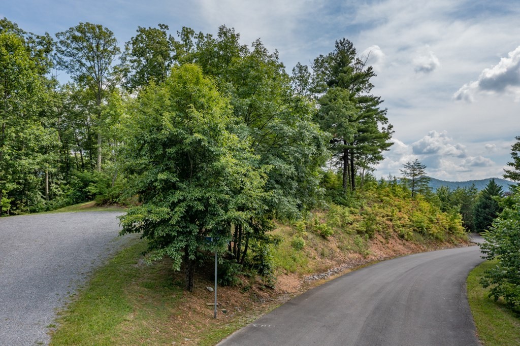 28 Covered Wagon Road Sevierville, TN 37862 - Photo 7 of 10 Gallery Image 7