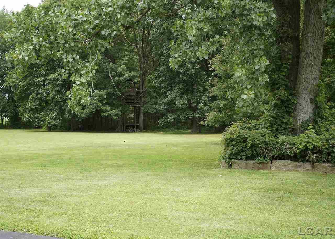 5242 Munger Road Tipton, MI 49287 - Photo 62 of 86
