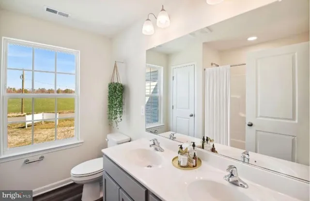 a bathroom with a double vanity sink toilet and a mirror