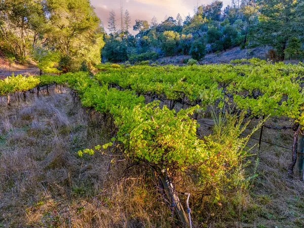 $3,300,000 | 18730 Highway 128, Calistoga, CA 94515