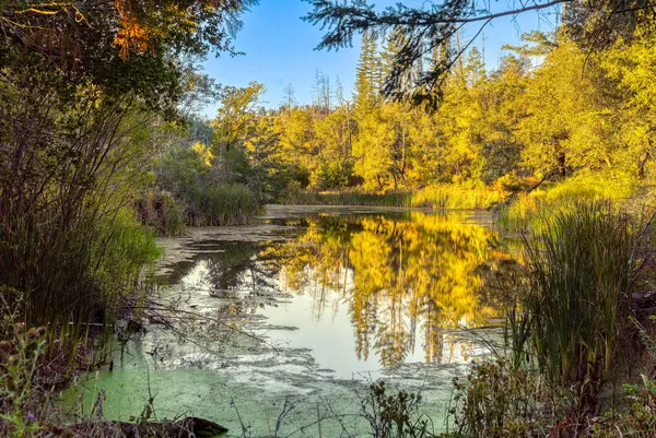 $3,300,000 | 18730 Highway 128, Calistoga, CA 94515