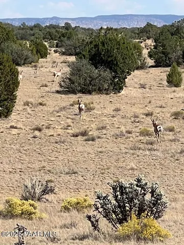 $289,000 | 61744 Jackpot Ranch Road, Seligman, AZ 86337