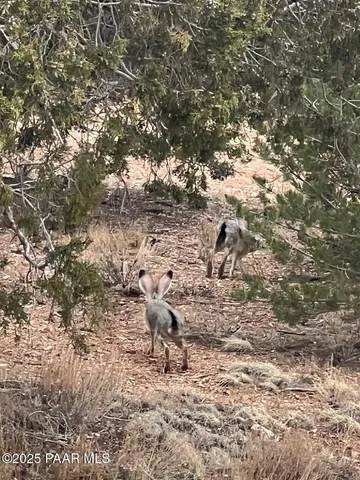 $289,000 | 61744 Jackpot Ranch Road, Seligman, AZ 86337