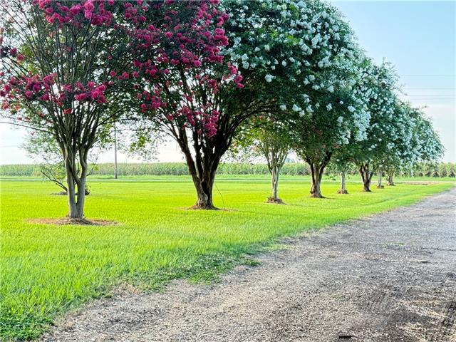 242 Vick Road Effie, LA 71331 - Photo 28 of 37