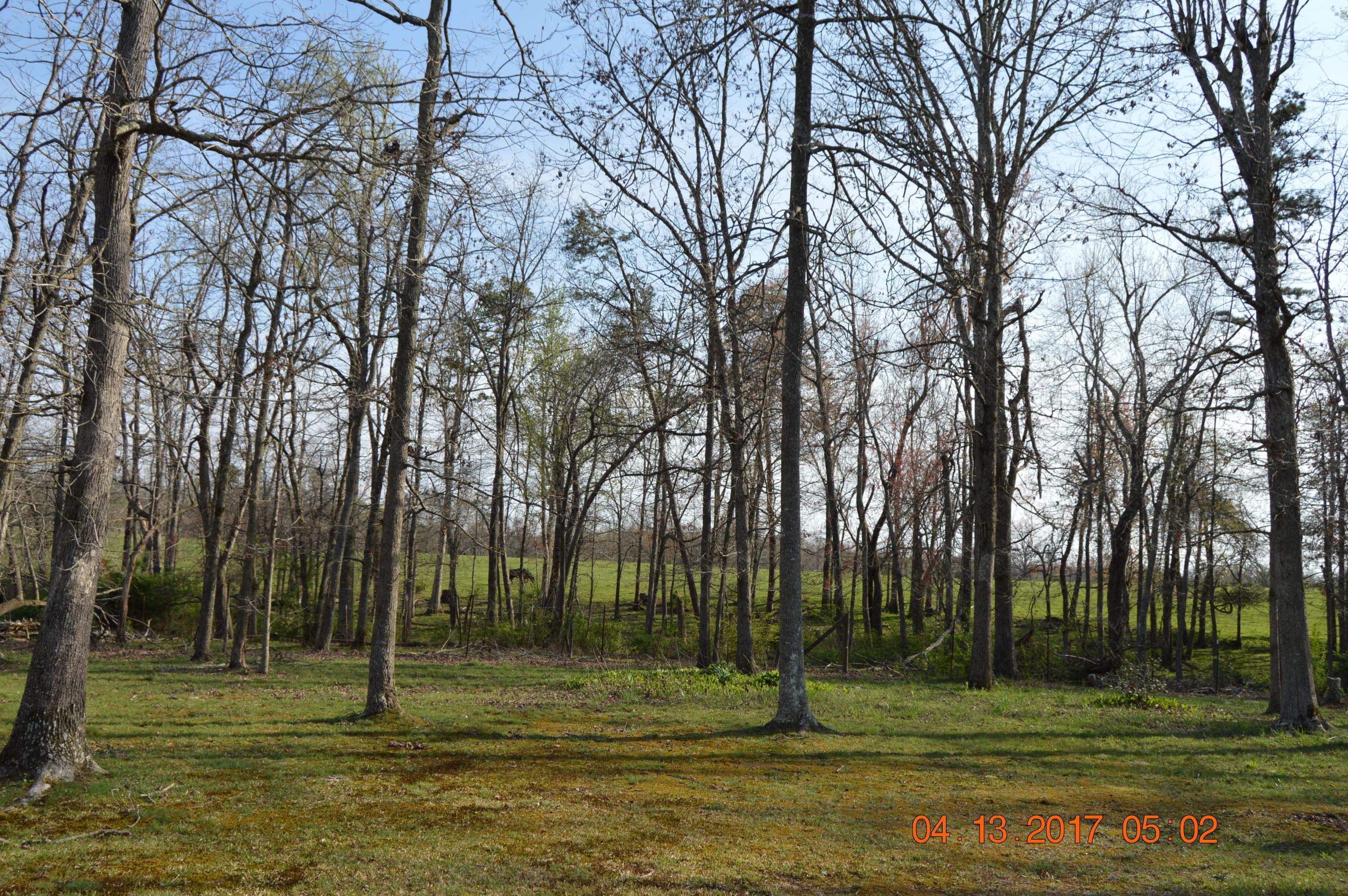 1046 Pine Ridge Lane Clarkrange, TN 38553 - Photo 25 of 32 DSC_1005
