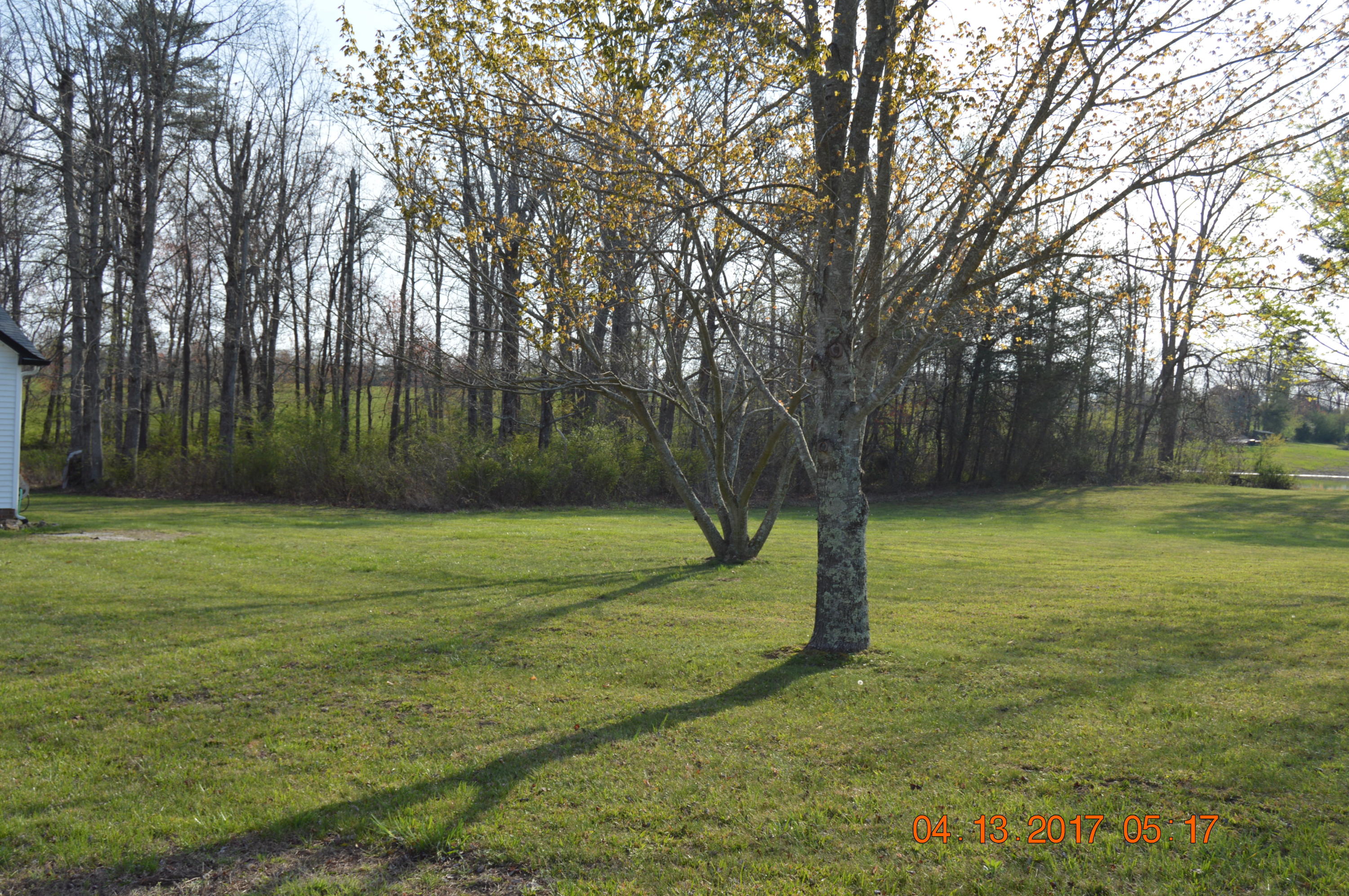 1046 Pine Ridge Lane Clarkrange, TN 38553 - Photo 29 of 32 DSC_1038
