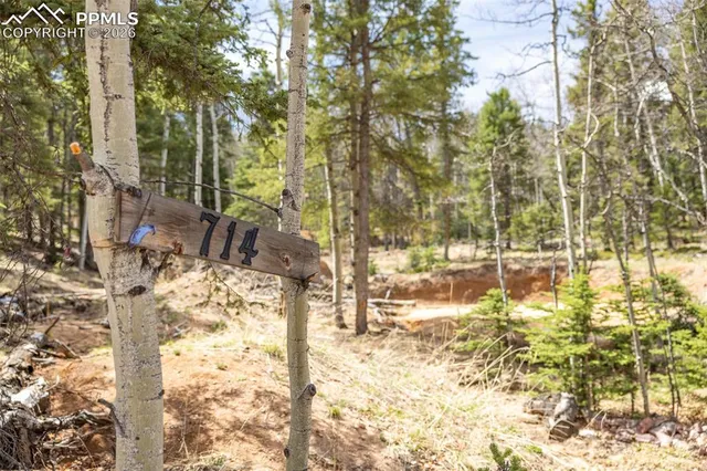 a view of yard from a house
