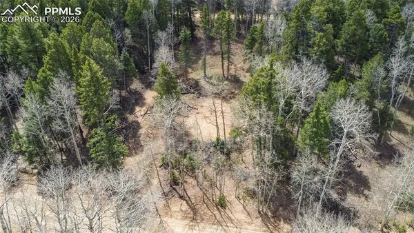 a backyard of a house with lots of trees