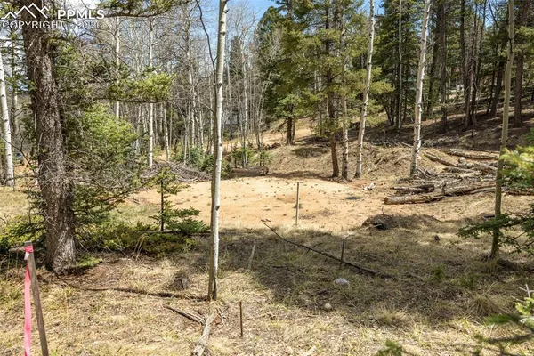 a view of a pathway of a house