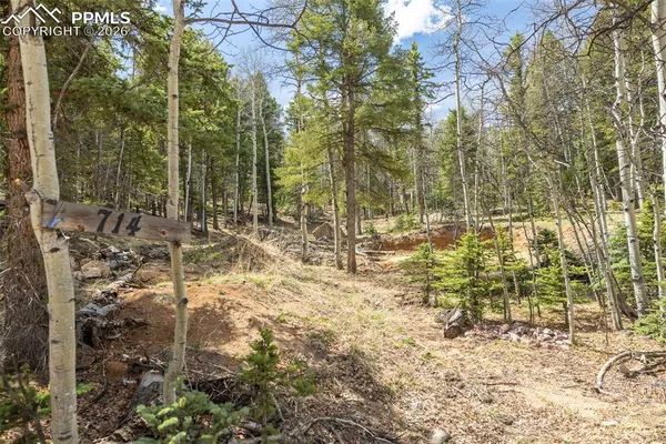 a view of outdoor space with city view