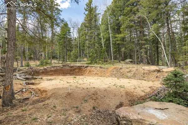 a view of dirt yard with a large tree