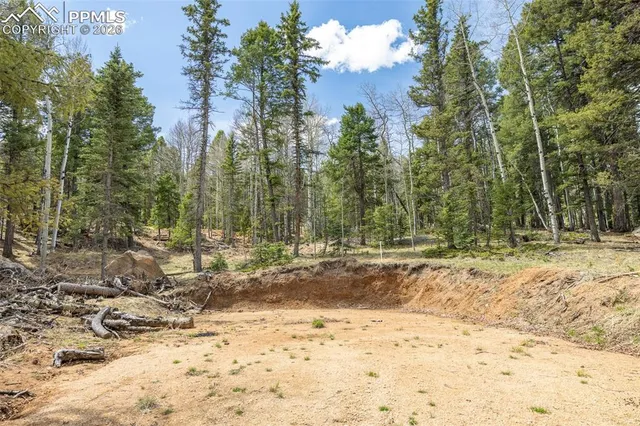 a view of a yard with trees
