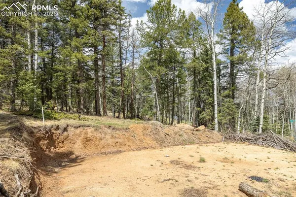 a view of a yard covered in snow