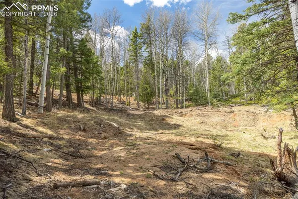 a view of outdoor space with trees
