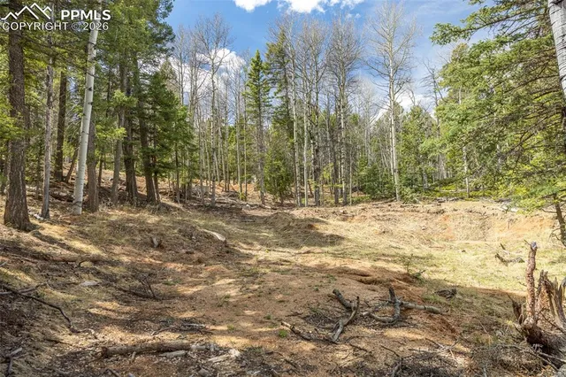 a view of outdoor space with trees