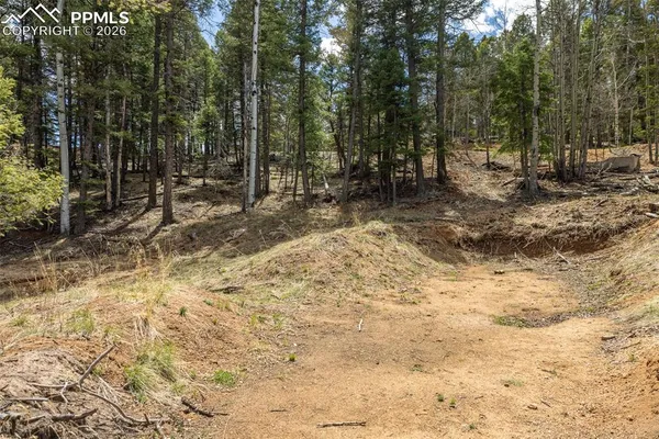 a view of outdoor space with trees