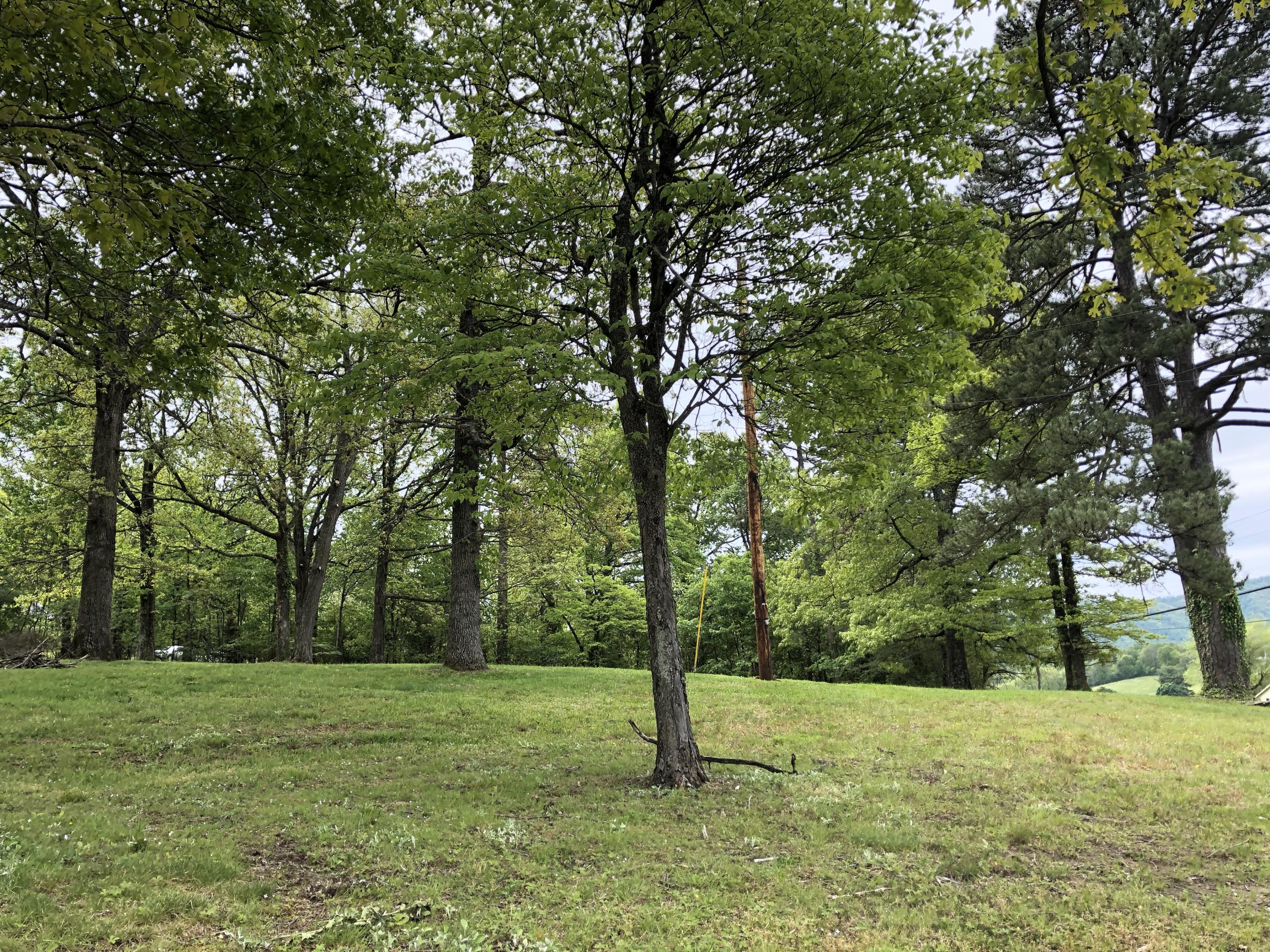 1764 Blue Ridge Springs Road Blue Ridge, VA 24064 - Photo 4 of 19 a view of a trees with a yard