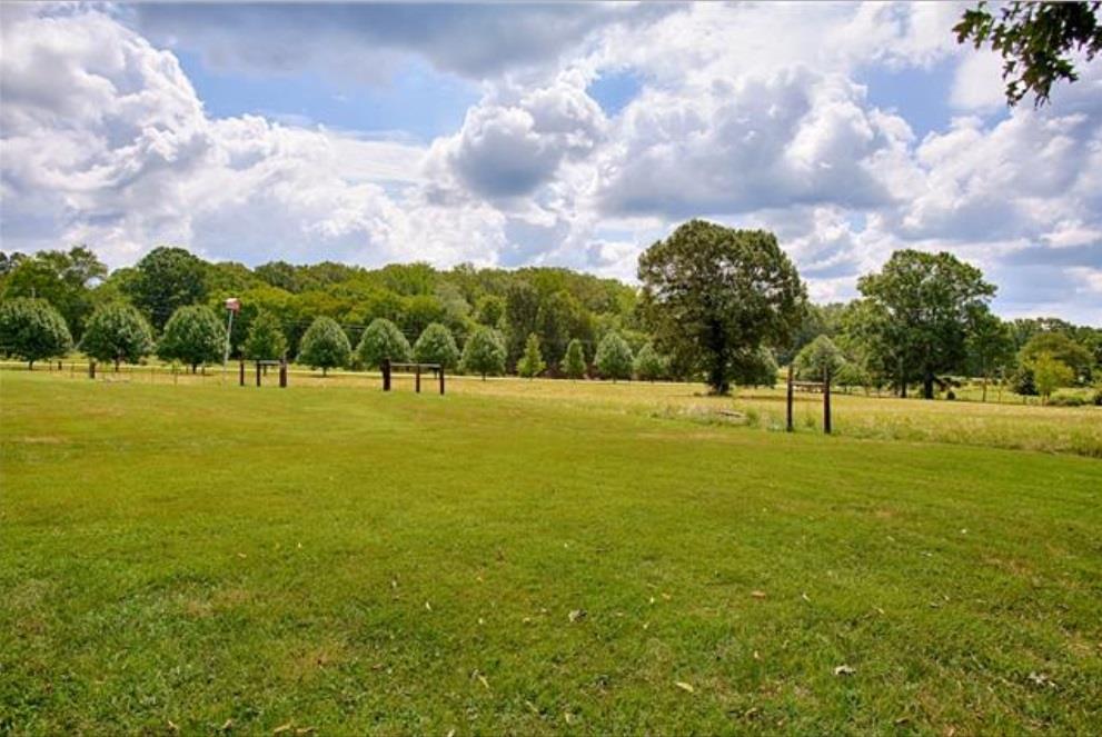 1000 Veto Road Prospect, TN 38477 - Photo 5 of 30 a view of a green yard