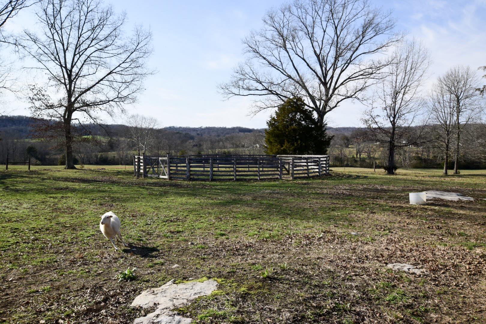 1000 Veto Road Prospect, TN 38477 - Photo 9 of 30 a view of a park with large trees