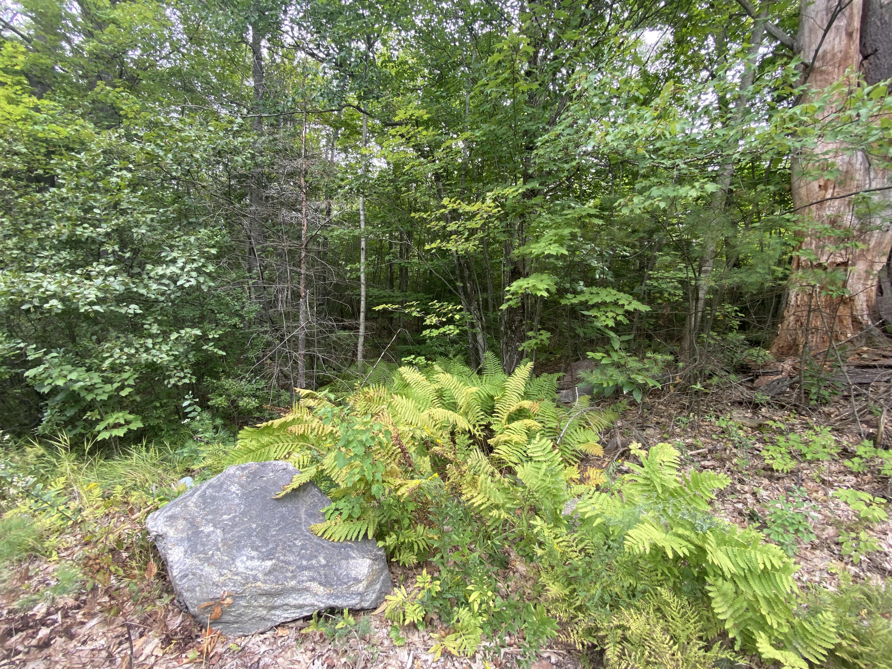 0 Bakerstown Road Poland, ME 04274 - Photo 8 of 10 1