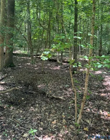 $99,000 | 0 Tall Oaks Drive, Emporia, VA 23847