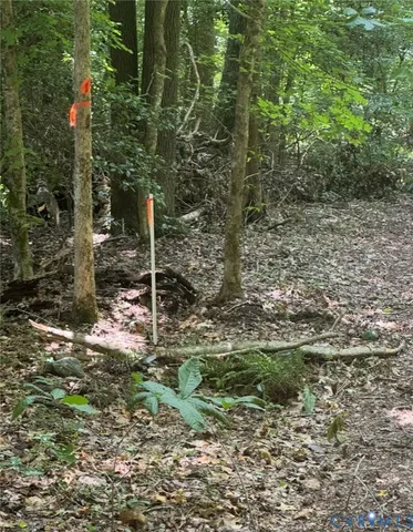 $99,000 | 0 Tall Oaks Drive, Emporia, VA 23847