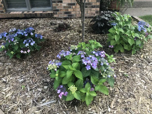 $413,900 | 902 10th Street South, Benson, MN 56215