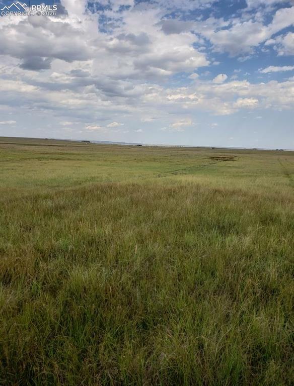 8155 Cowboy Rnch View Peyton, CO 80831 - Photo 7 of 13 a view of an ocean