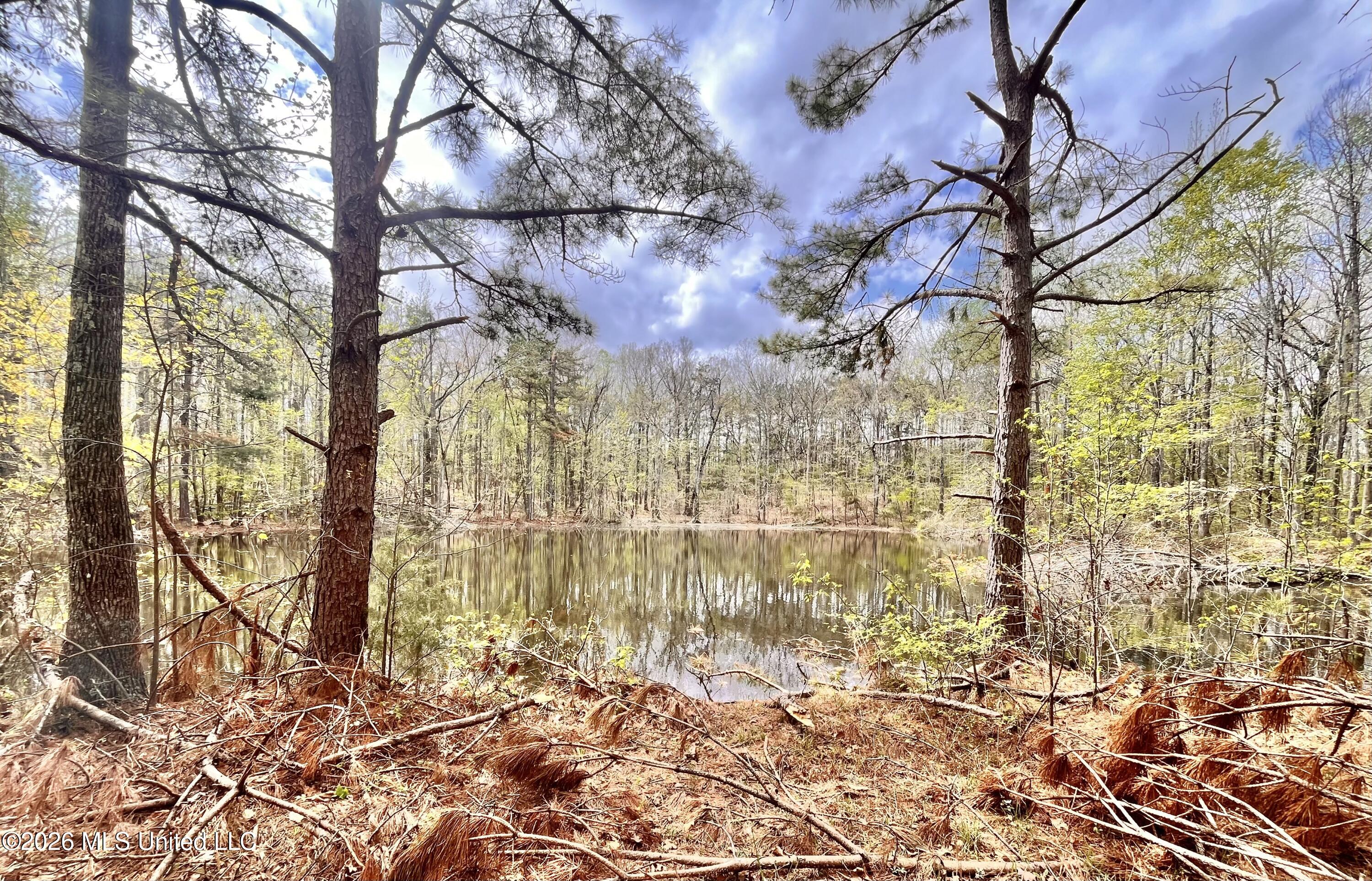3221 Pine Grove Road Blue Mountain, MS 38610 - Photo 19 of 30 pond1