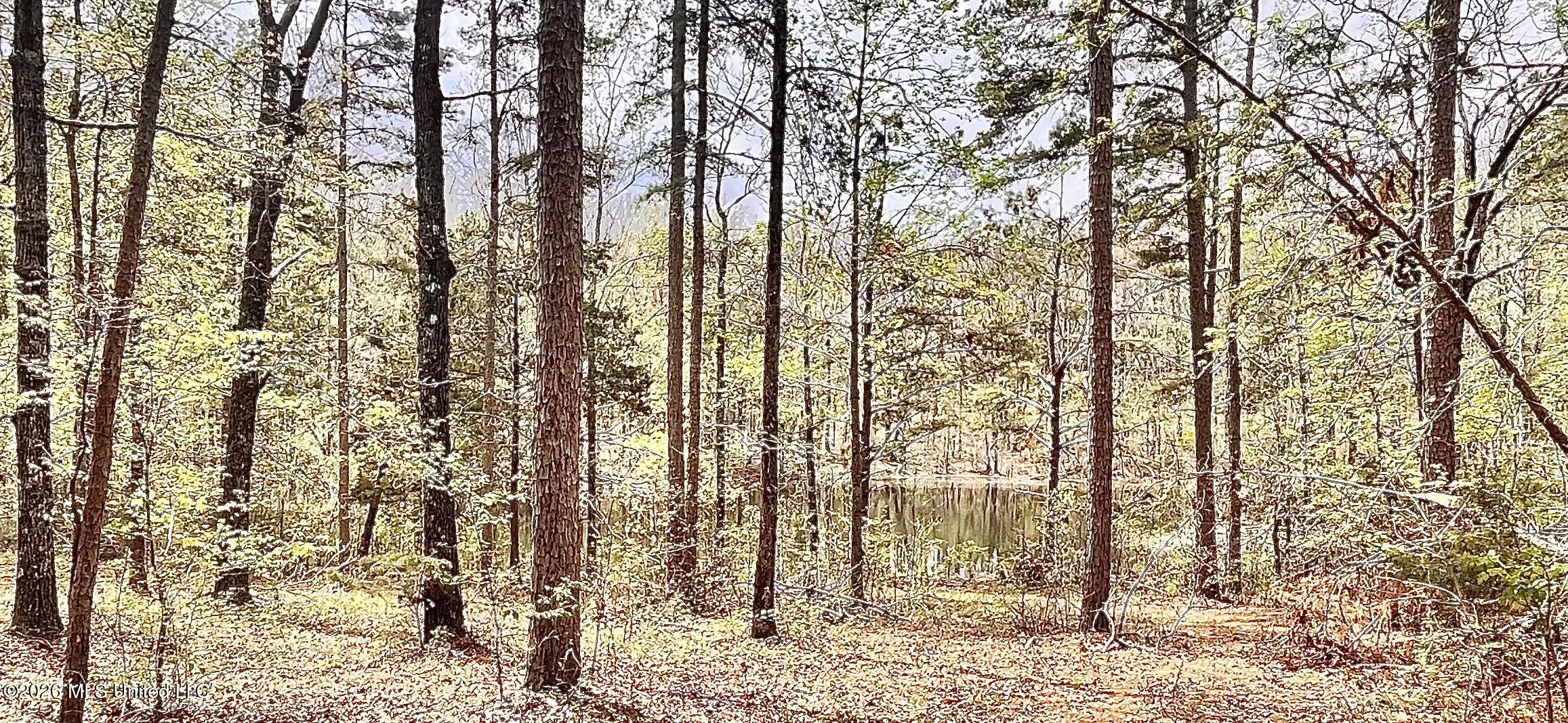 3221 Pine Grove Road Blue Mountain, MS 38610 - Photo 20 of 30 pond