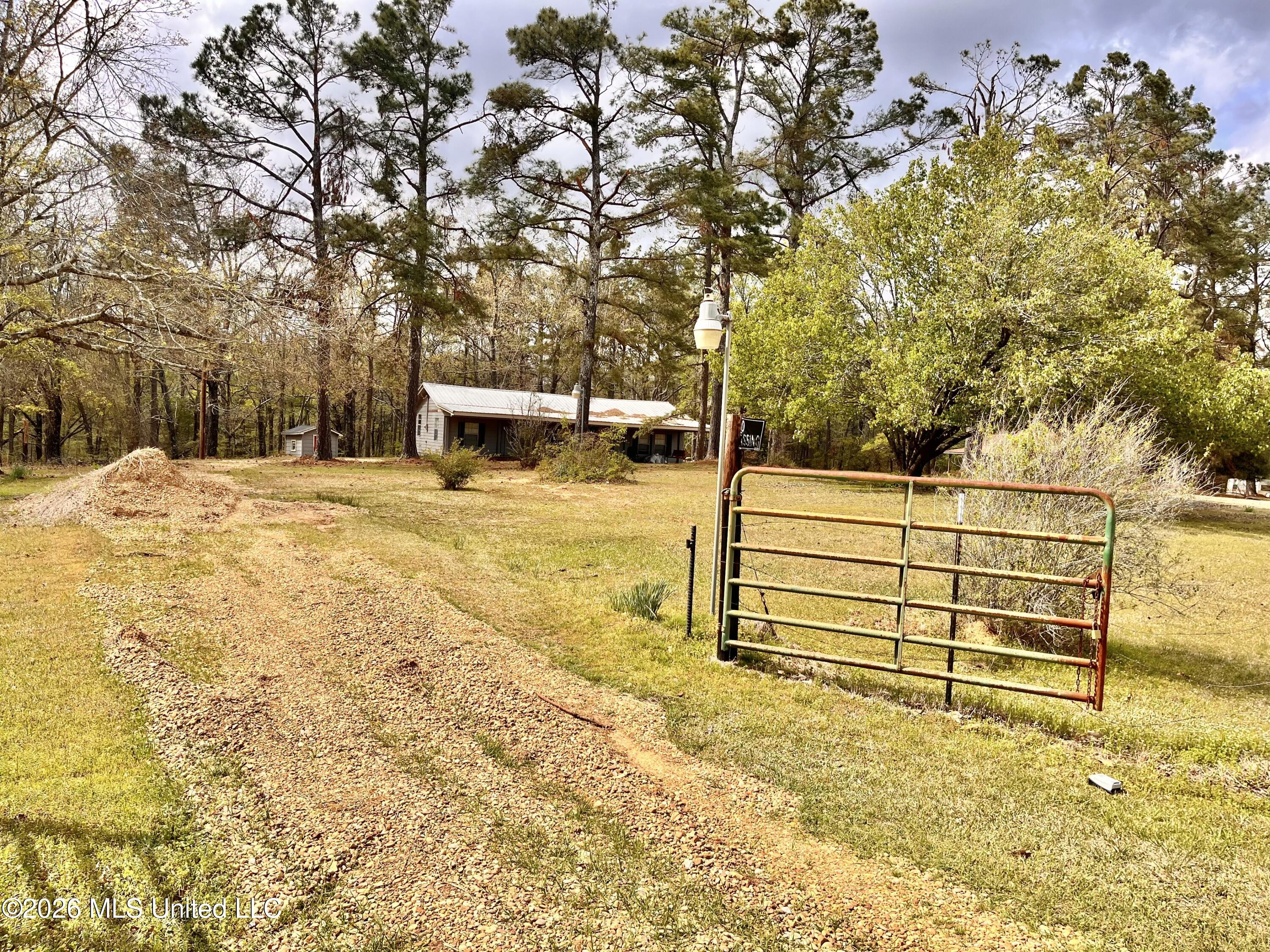 3221 Pine Grove Road Blue Mountain, MS 38610 - Photo 2 of 30 driveway
