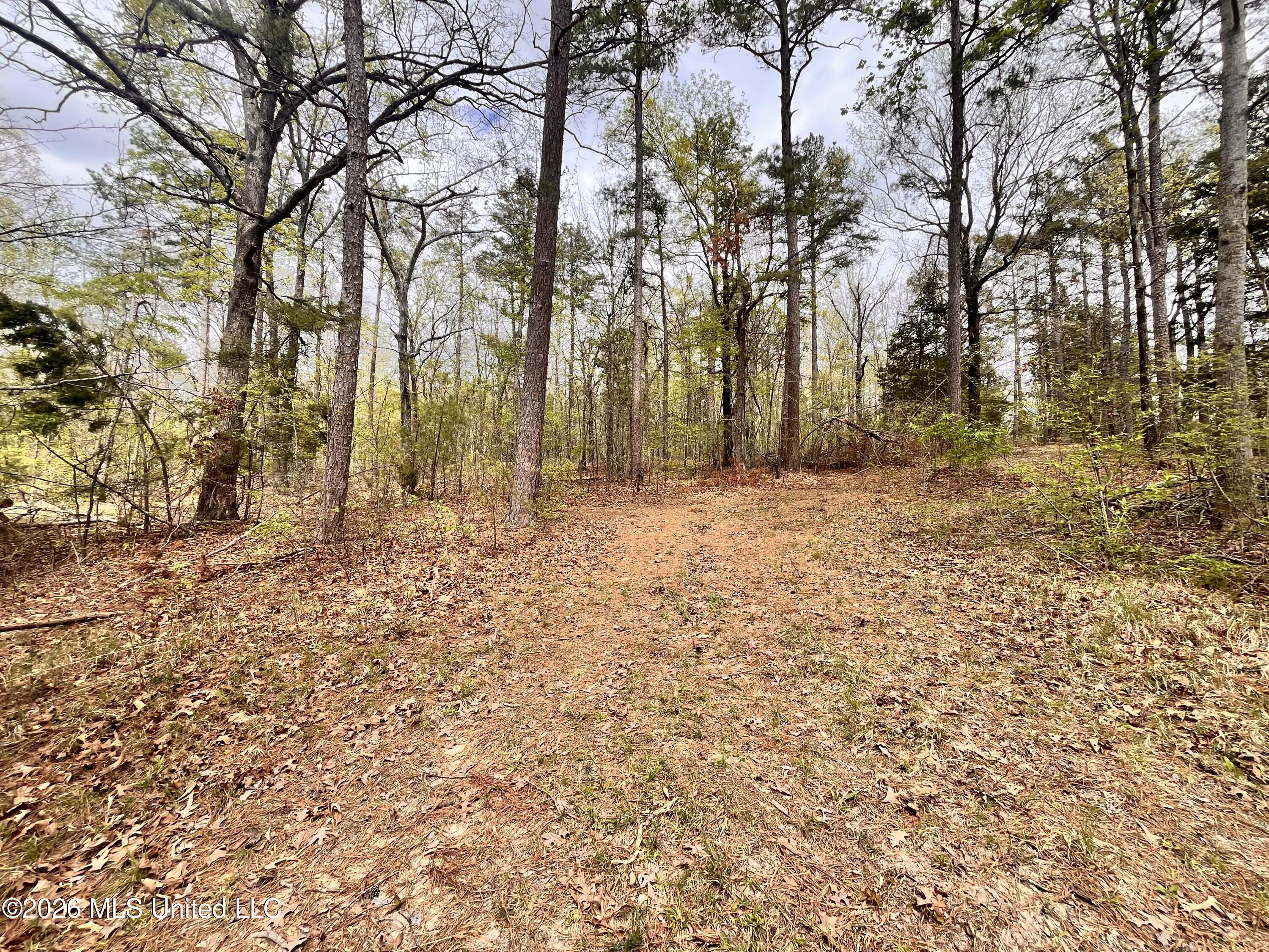 3221 Pine Grove Road Blue Mountain, MS 38610 - Photo 21 of 30 near pond