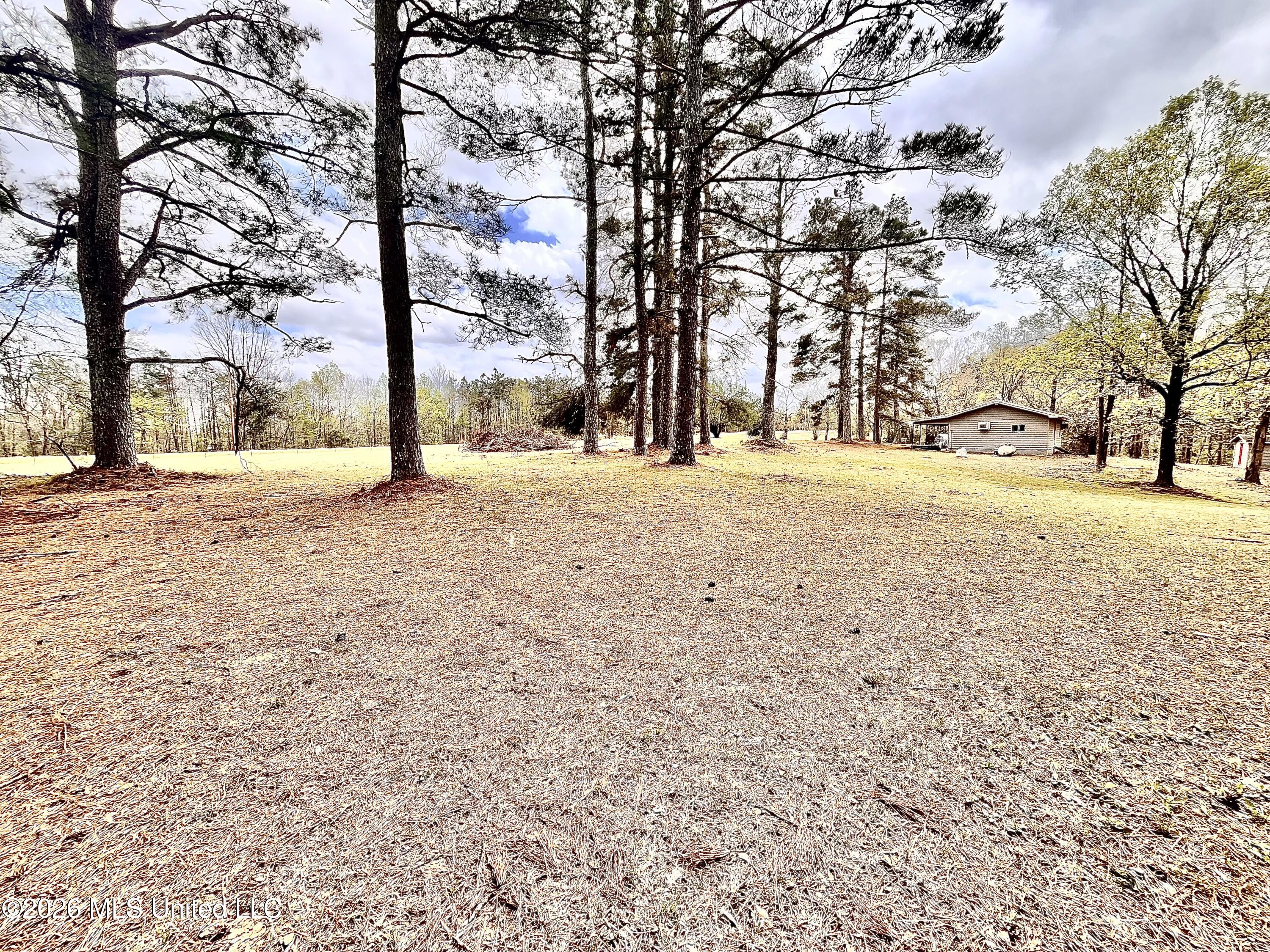 3221 Pine Grove Road Blue Mountain, MS 38610 - Photo 22 of 30 view of north side of home