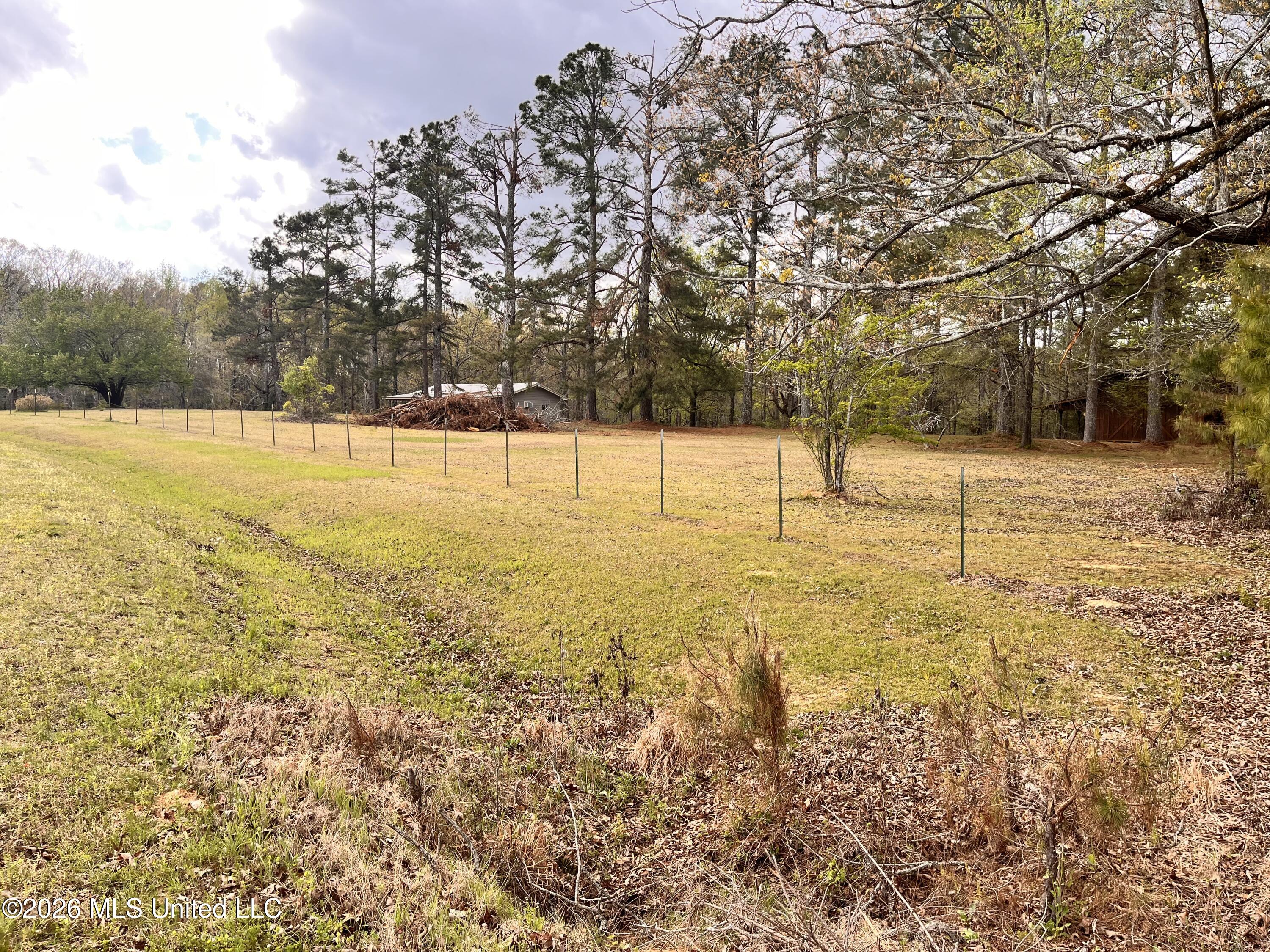 3221 Pine Grove Road Blue Mountain, MS 38610 - Photo 23 of 30 IMG_4567