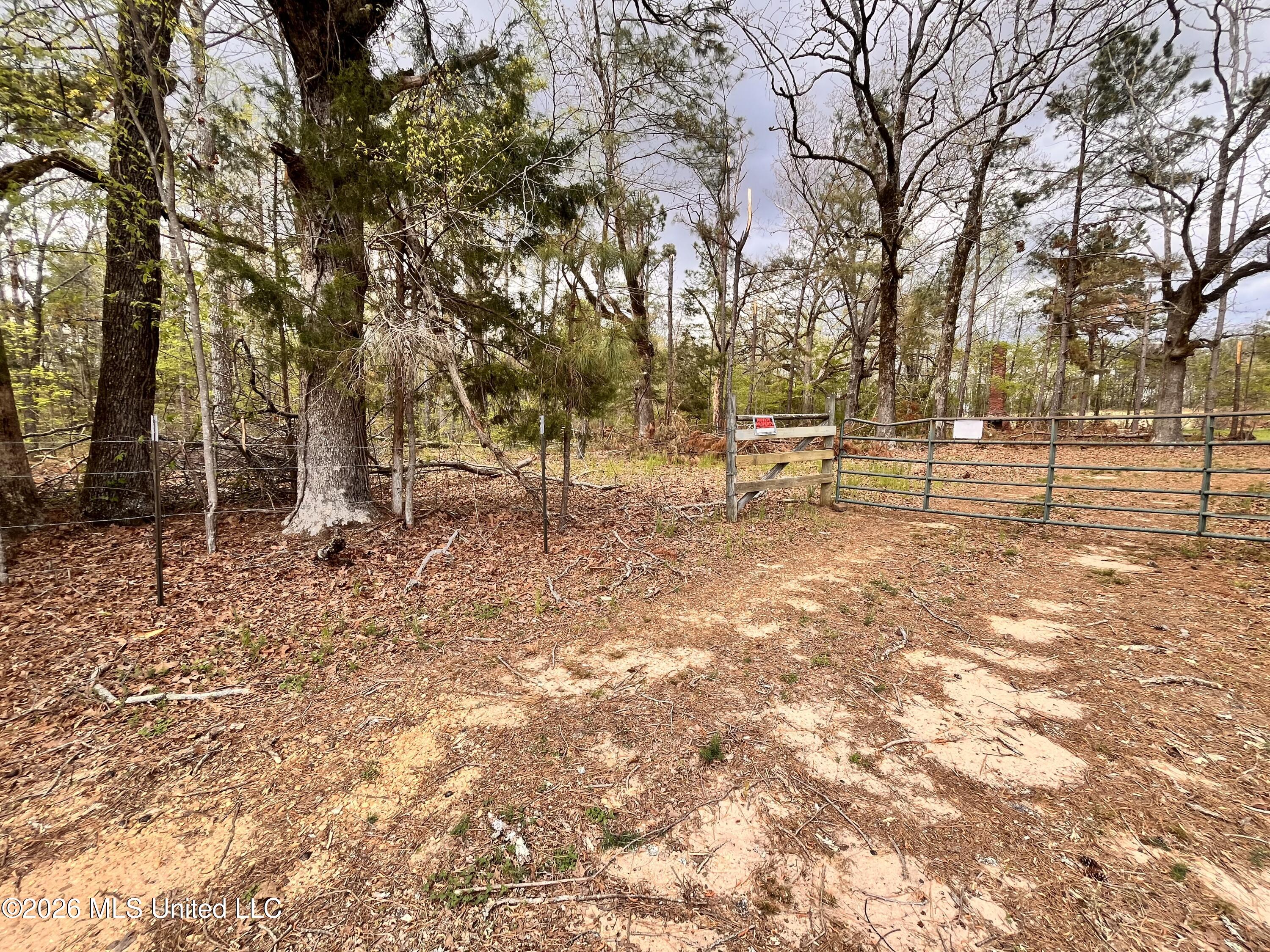 3221 Pine Grove Road Blue Mountain, MS 38610 - Photo 24 of 30 IMG_4569