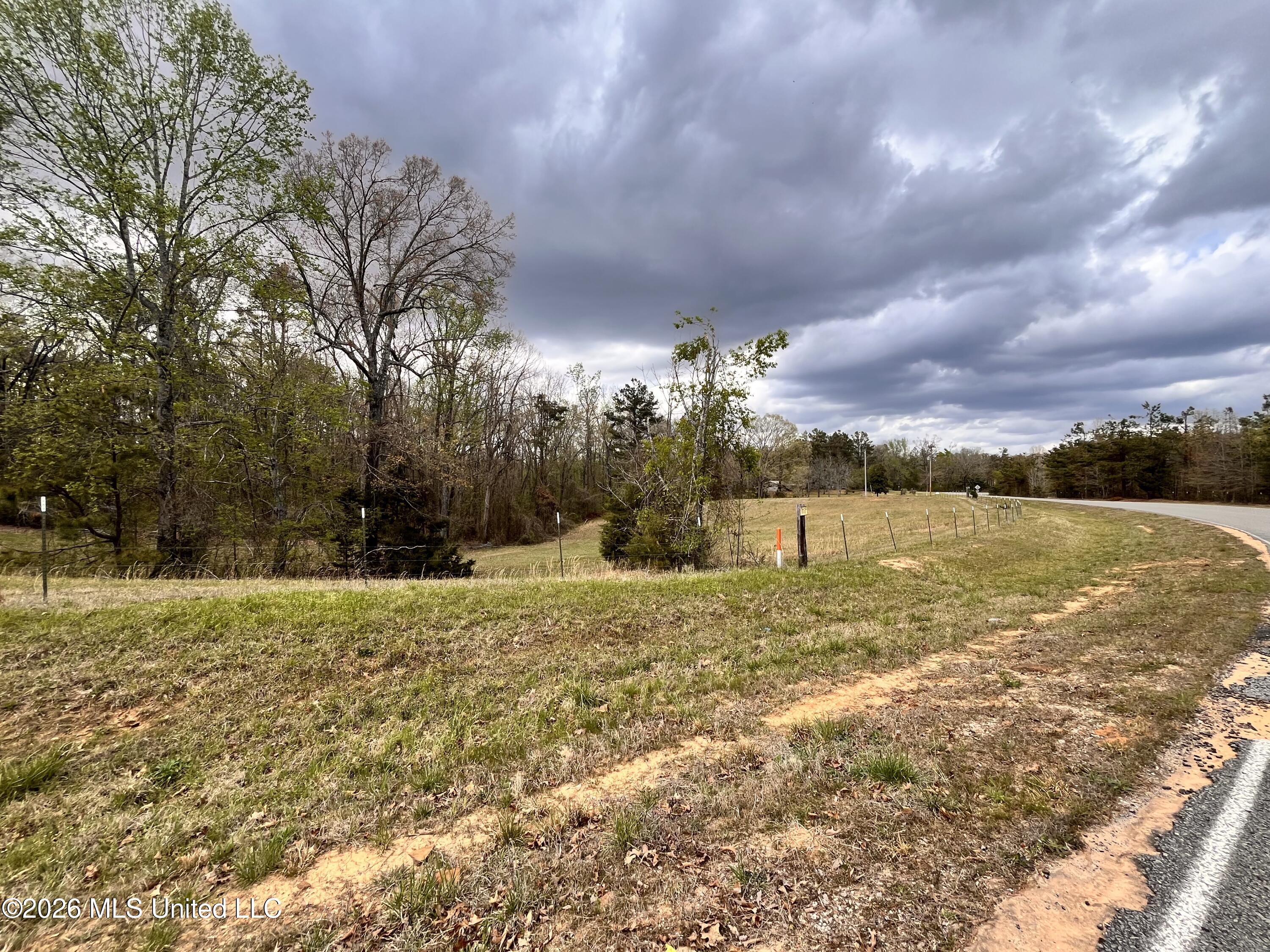 3221 Pine Grove Road Blue Mountain, MS 38610 - Photo 25 of 30 Pine Grove Rd frontage