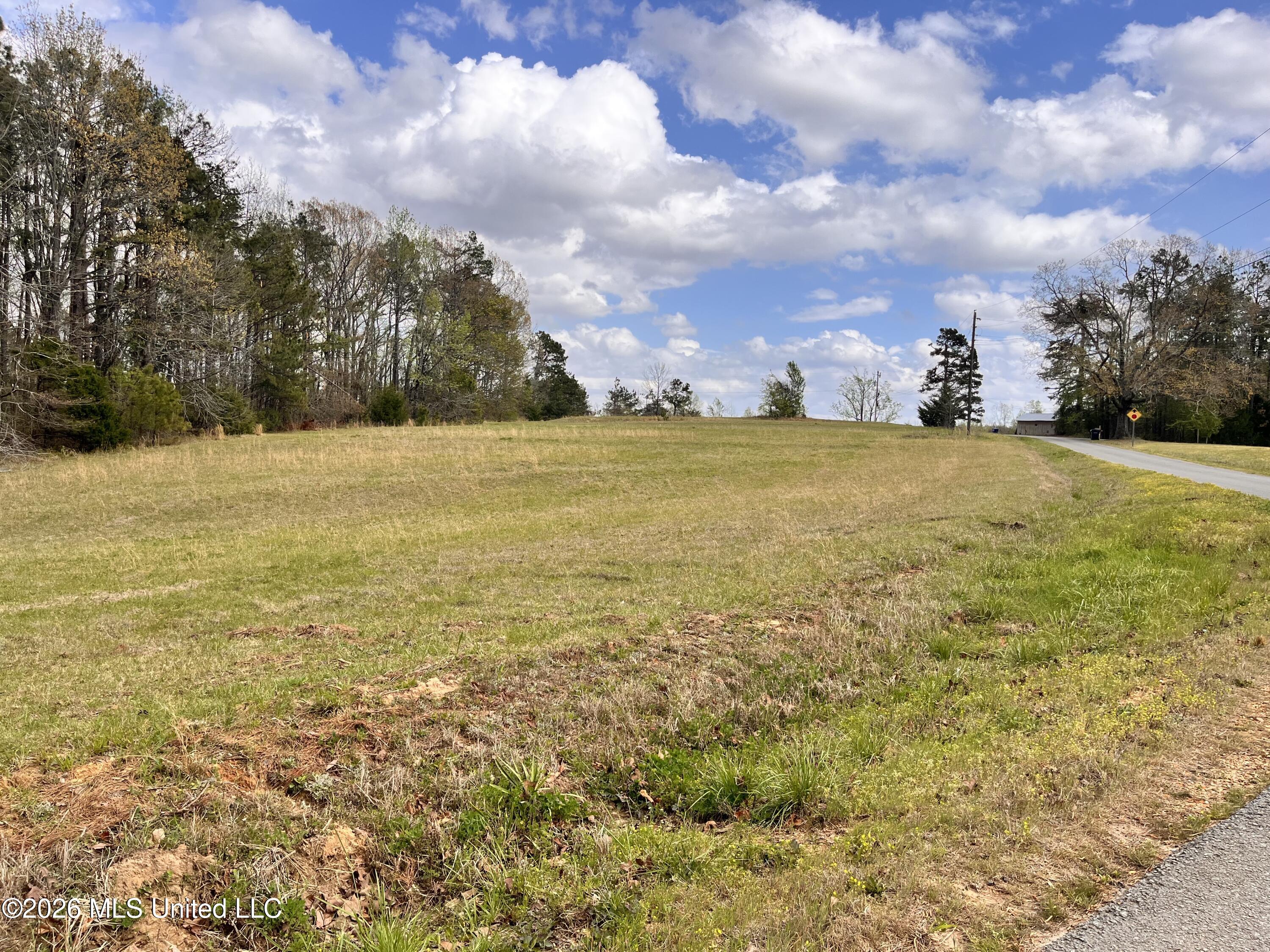 3221 Pine Grove Road Blue Mountain, MS 38610 - Photo 26 of 30 Ranch Town Rd frontage
