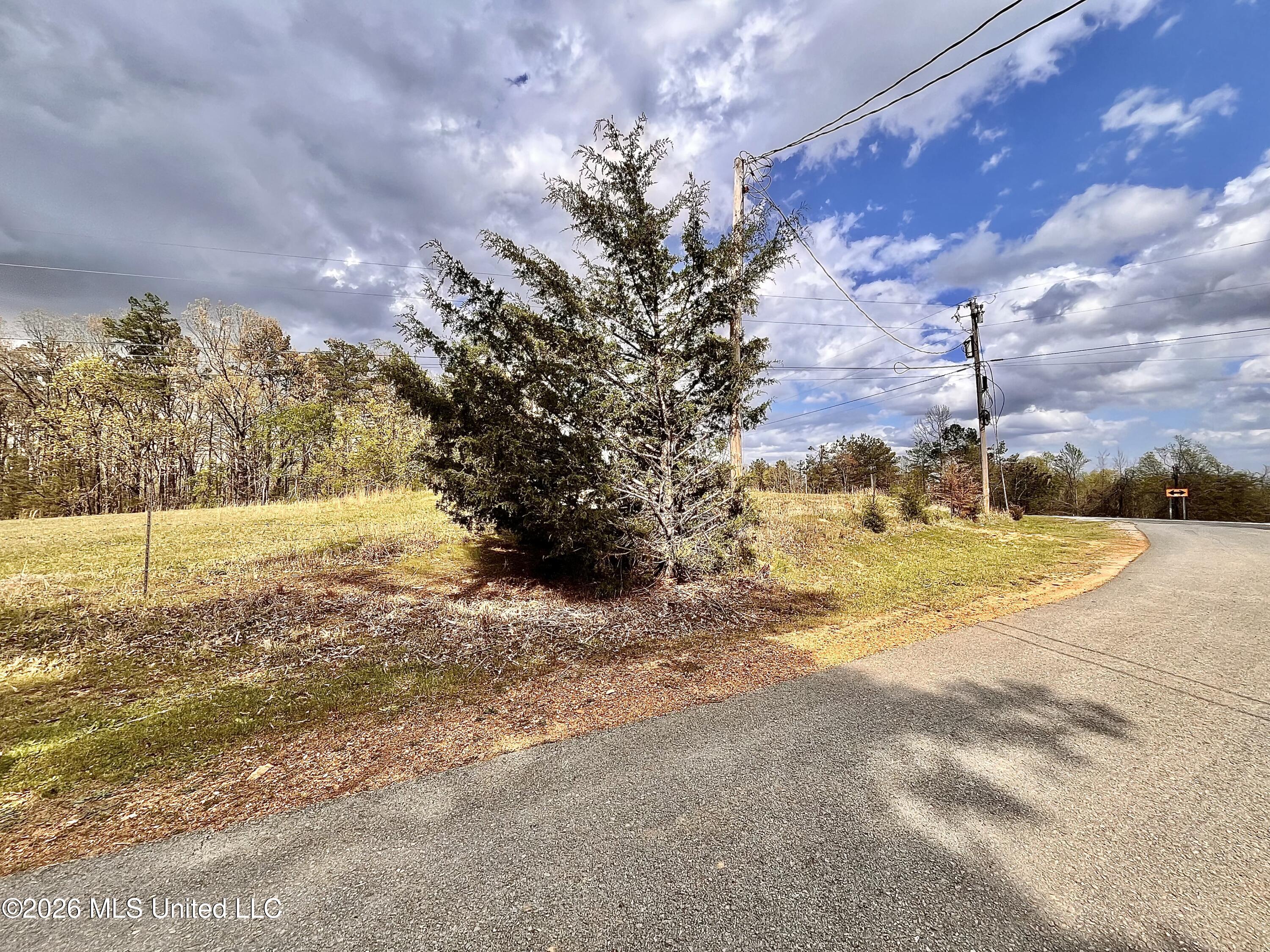 3221 Pine Grove Road Blue Mountain, MS 38610 - Photo 27 of 30 IMG_4572