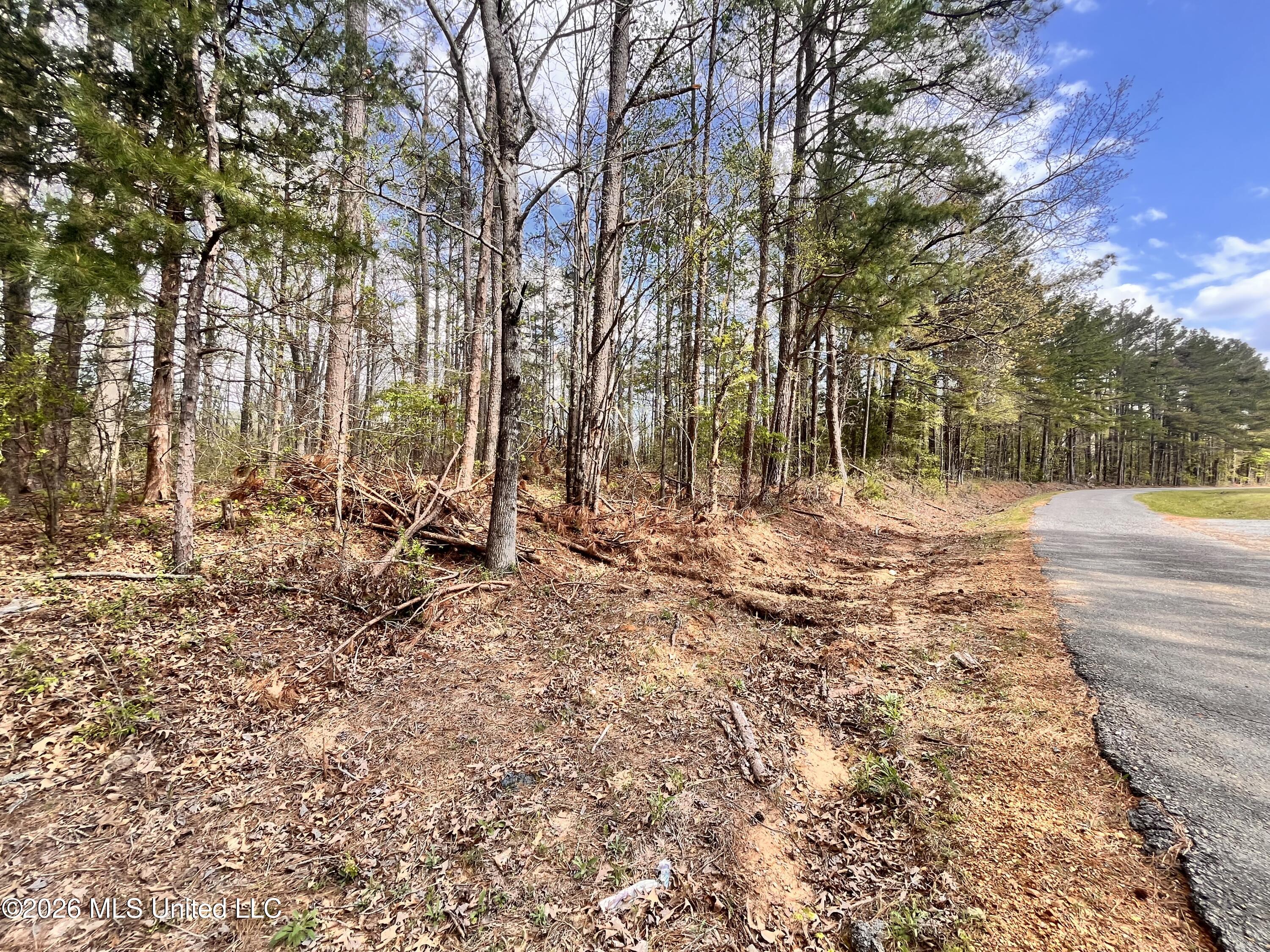 3221 Pine Grove Road Blue Mountain, MS 38610 - Photo 28 of 30 Looking south along Ranch Town Rd