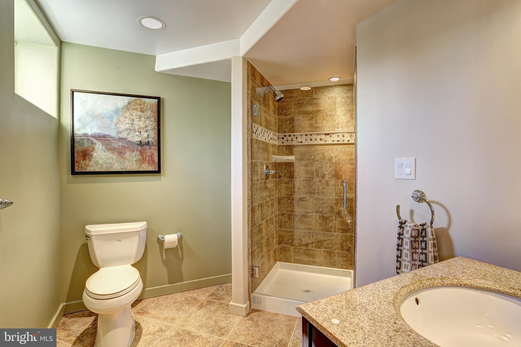 3230 Jones Road Woodbine, MD 21797 - Photo 54 of 67 Lower level full bath.