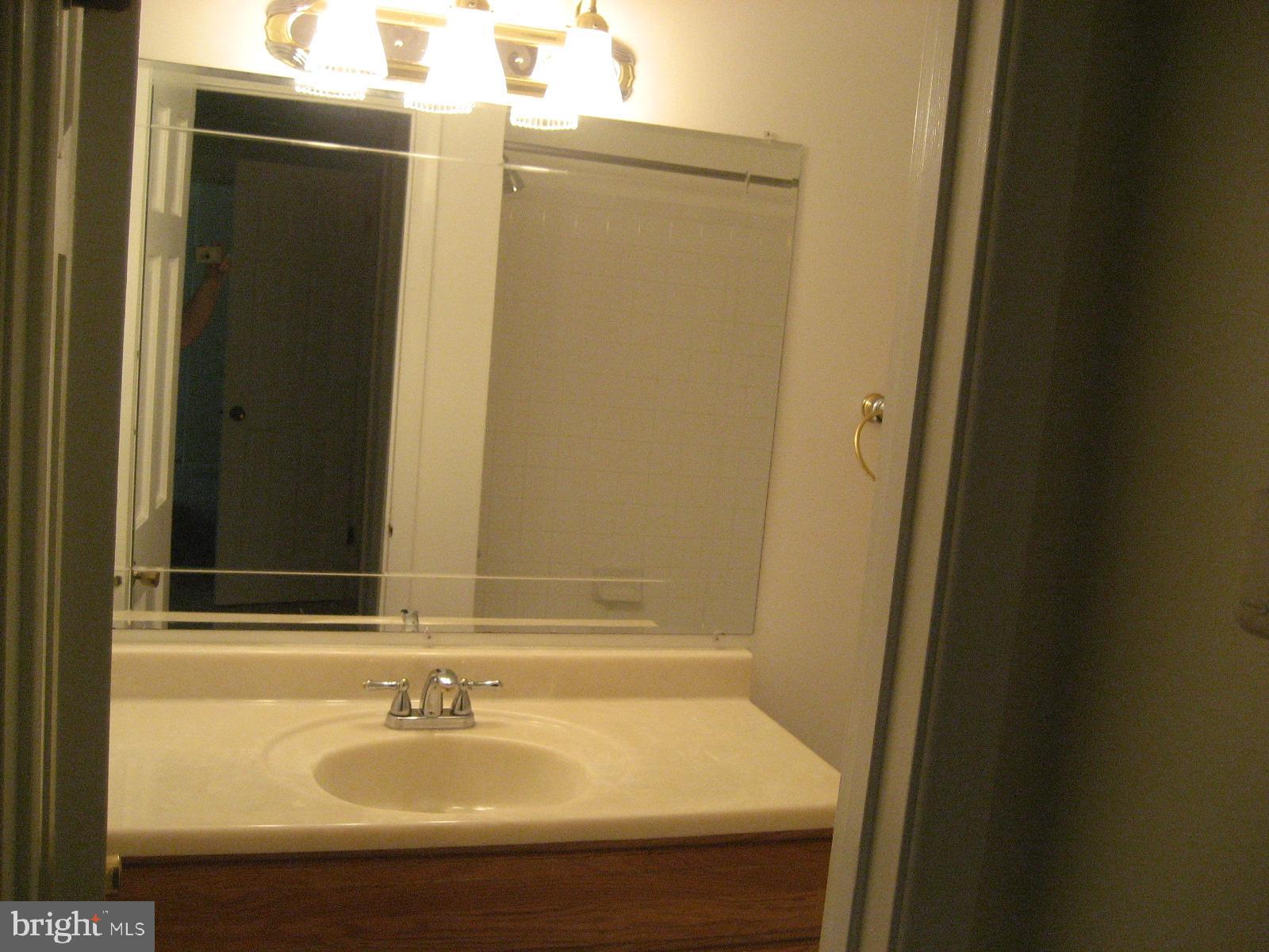 209 Dover Road Warrenton, VA 20186 - Photo 21 of 30 a bathroom with a sink and a mirror